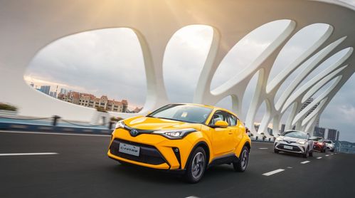 巴斯夫推出高光免噴涂聚酰胺牌號,用于豐田車內裝飾部件