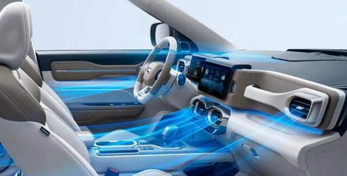 以為只是買輛家用車，沒想到就這樣擁有了健康出行生活