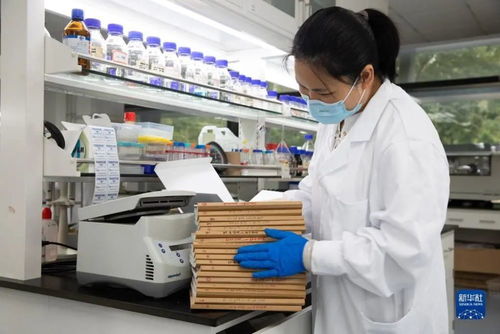 人造淀粉 生物科技顛覆農業，開啟糧食生產新紀元